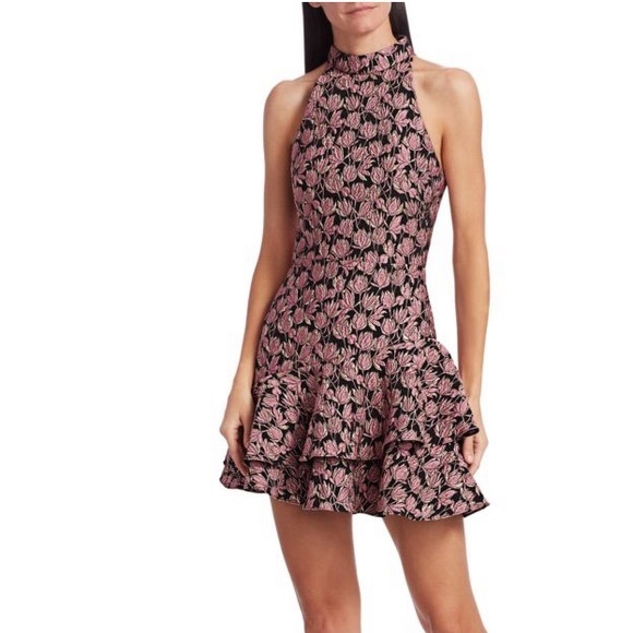 NWT ML Monique Lhuillier Rita Ruffled Mini Dress - Picture 5 of 15